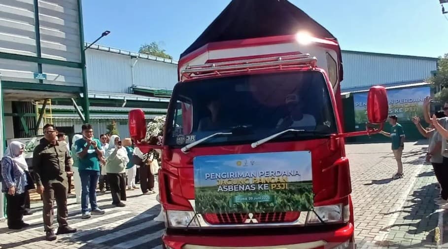 Asbenas Kirim Perdana 200 Ton Jagung Pangan untuk Industri, Dorong Pengurangan Ketergantungan Impor