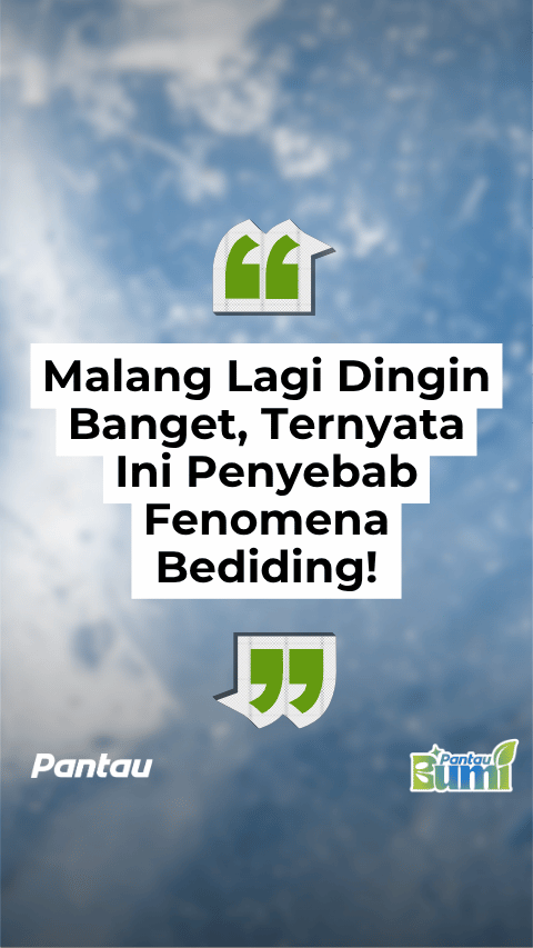 MALANG LAGI DINGIN BANGET