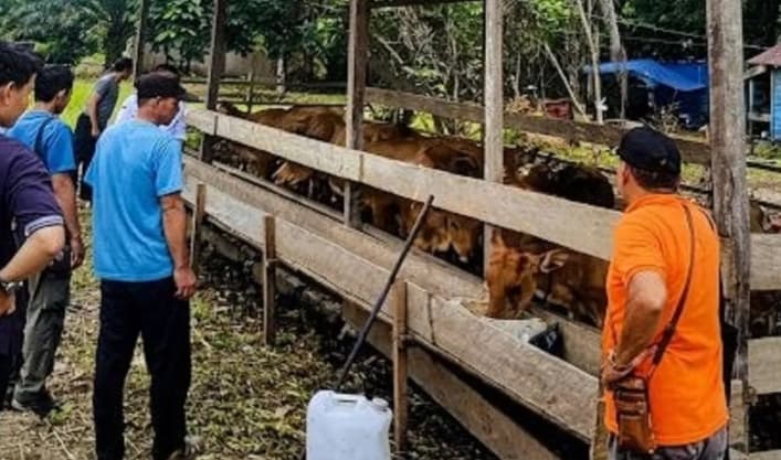 Integrasi Tani dan Ternak di Kutai Kartanegara Bantu Warga Tingkatkan Ekonomi Sekaligus Lestarikan Hutan