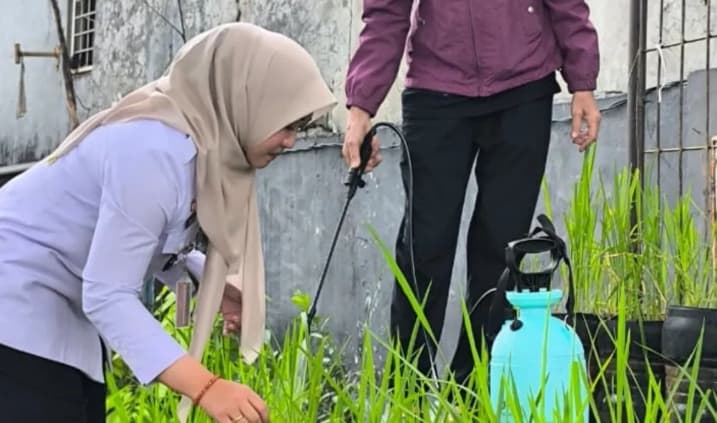 Kelurahan Pasar Minggu Kembangkan Budi Daya Padi dalam Galon untuk Perkuat Ketahanan Pangan