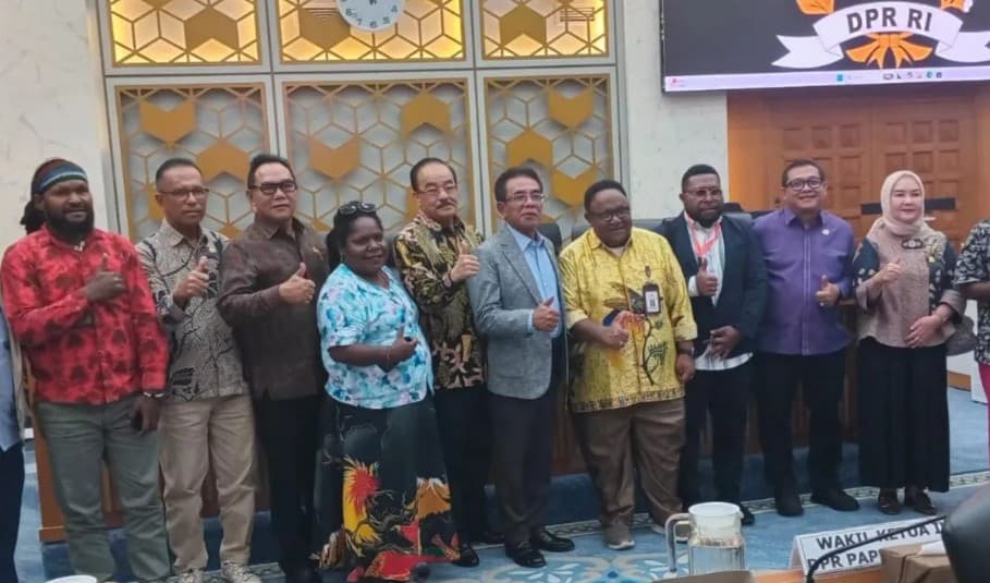 Komisi IV DPR RI Bentuk Tim Investigasi untuk Menelusuri Dampak Tailing PT Freeport Indonesia di Timika