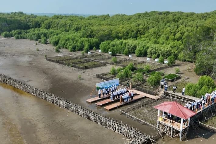 Pupuk Kujang Tanam 5.151 Mangrove untuk Lindungi Pesisir Karawang dari Ancaman Abrasi