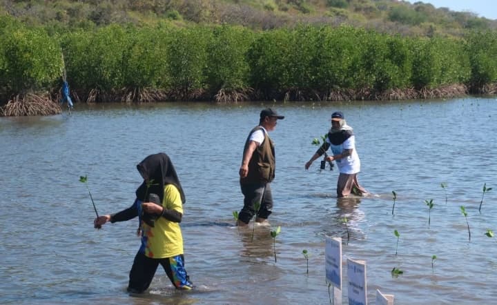Pemerintah Tegaskan Perdagangan Karbon Harus Berdampak bagi Masyarakat, Bukan Ajang Spekulasi Bisnis