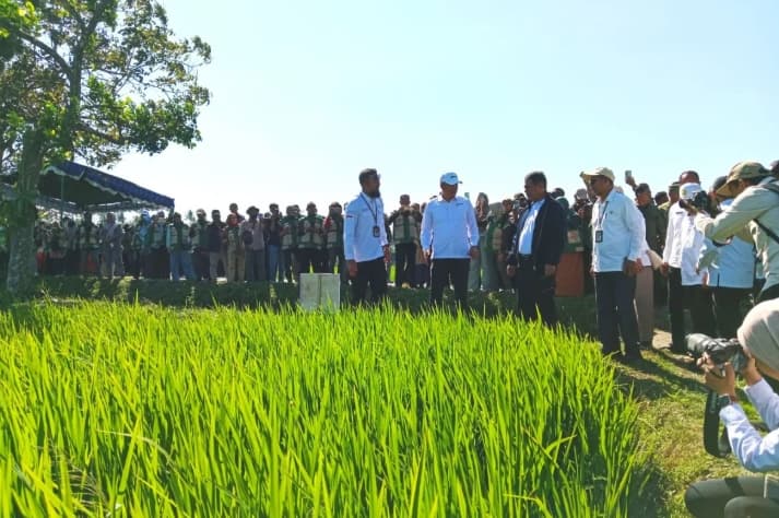 Mentan Ajak Petani Lombok Terapkan PMAAS untuk Tingkatkan Produktivitas dan Kesejahteraan