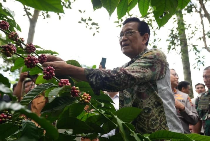 Pemda DIY Siapkan 20 Gerobak Kopi Keliling untuk Perkuat Promosi dan Pemasaran Kopi Lokal