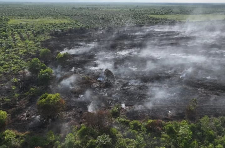 Manggala Agni Temukan Kebakaran Hutan dan Lahan Seluas 7 Hektare di Rokan Hilir