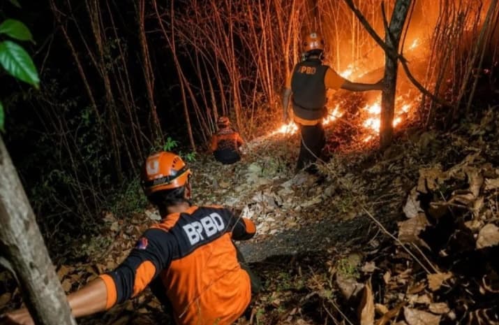 Kebakaran Gunung Puncang Lumajang Hanguskan Dua Hektare Lahan, Tim Gabungan Berhasil Cegah Api Meluas