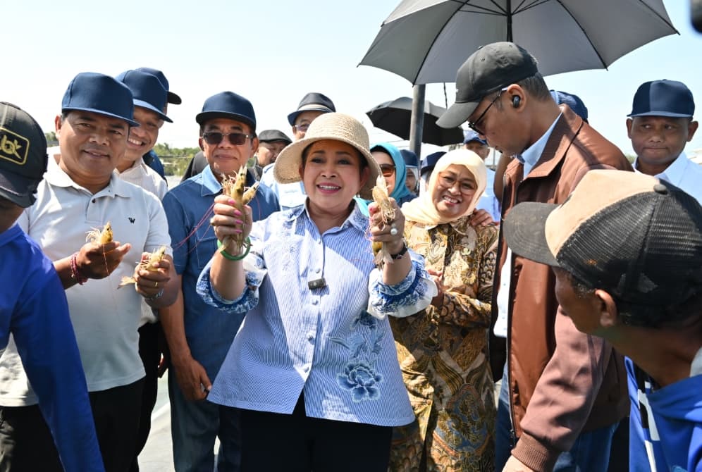 Ketua Komisi IV DPR Menilai Budidaya Udang Kebumen Layak Menjadi Model Nasional