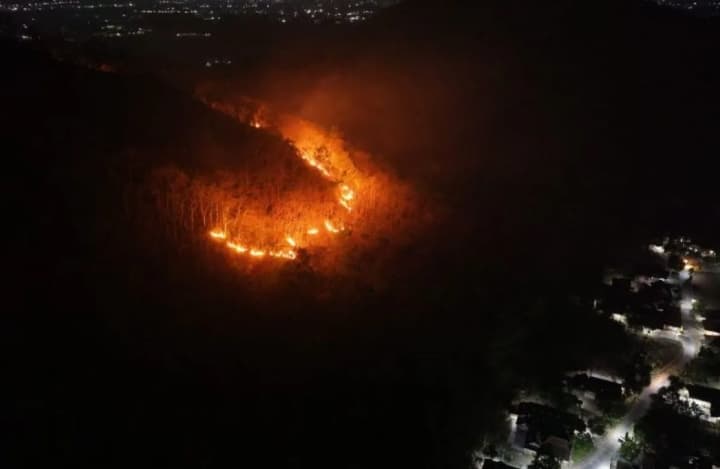 Kebakaran Gunung Gombak di Ponorogo Hanguskan 15 Hektare Hutan, BPBD Selidiki Penyebab