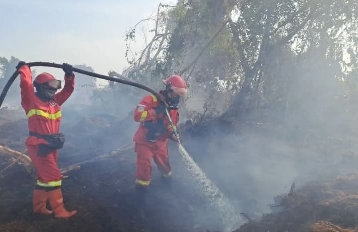 Manggala Agni Tuntaskan Pemadaman Karhutla Seluas 7,5 Hektare di Rokan Hilir