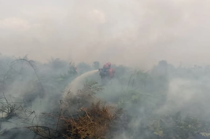 Manggala Agni Berjibaku Padamkan Karhutla Seluas 15 Hektare di Bengkalis