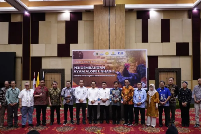 Unhas Kembangkan Ayam Alope sebagai Inovasi Unggulan untuk Memperkuat Ketahanan Pangan Nasional