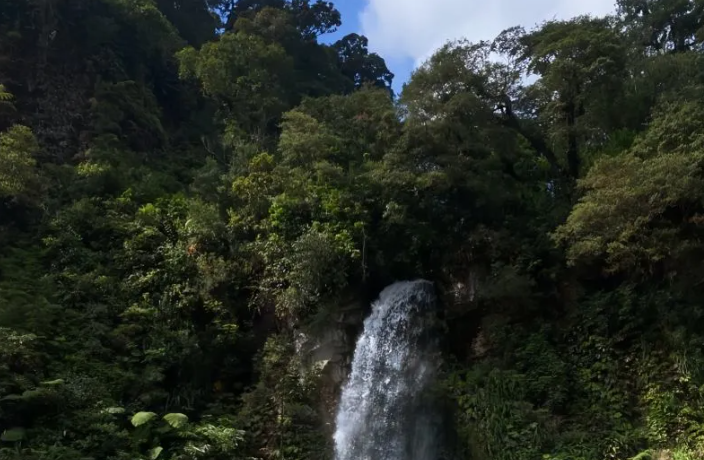 Tujuh Curug di Bogor yang Cocok untuk Trekking, dari Jalur Ramah Pemula hingga Menantang