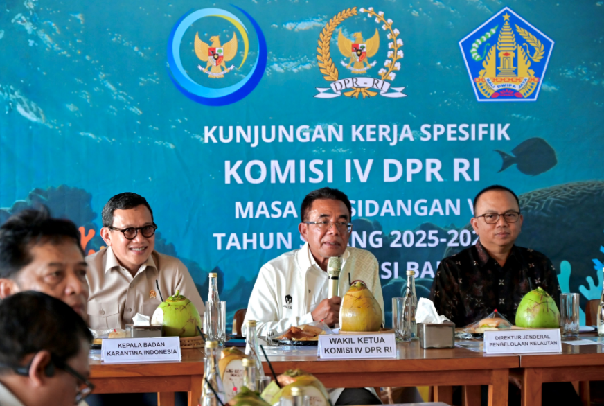 Soroti Prioritas Anggaran KKP, Panggah: Konservasi Terumbu Karang Bali Perlu Diperkuat