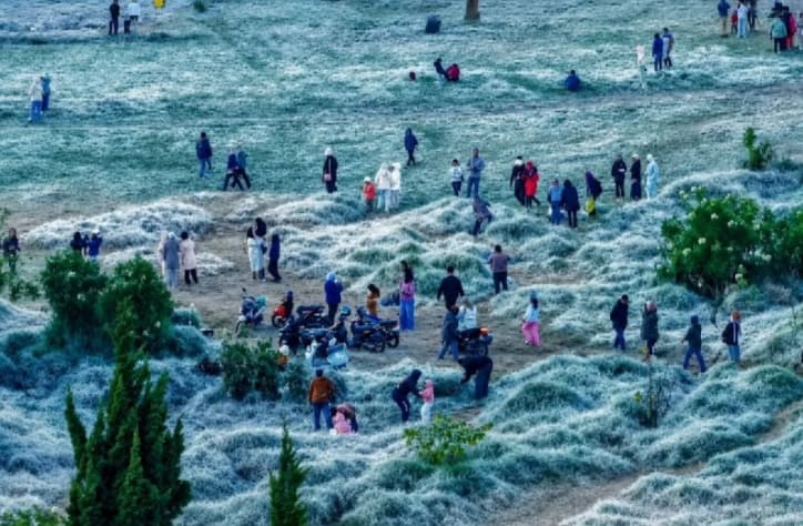 BMKG Memperkirakan Embun Upas di Dieng Lebih Sering Muncul pada Musim Kemarau 2026