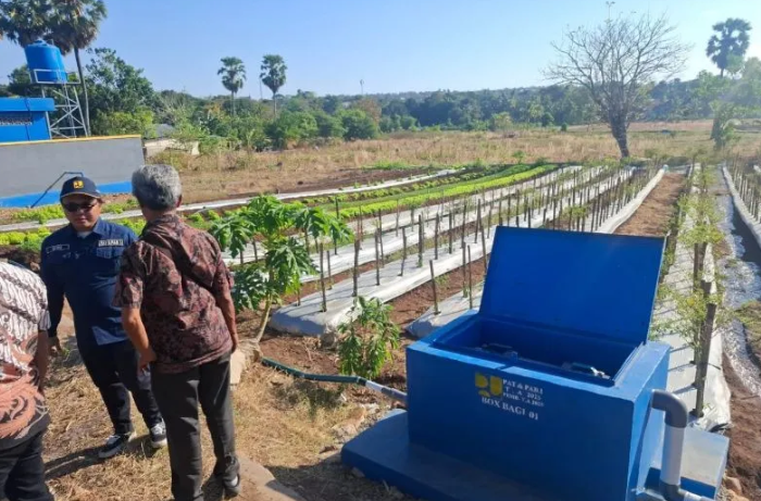 Program JIAT BBWS Nusa Tenggara II Bantu Petani Kupang Tingkatkan Produksi Pertanian