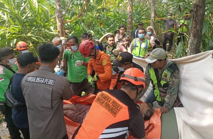 Lansia di Purbalingga Meninggal saat Memetik Kelapa di Atas Pohon Setinggi 15 Meter