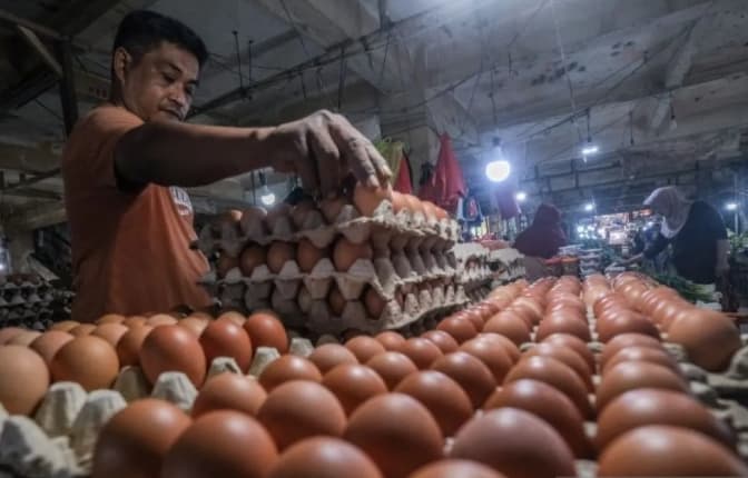Bapanas Sebut Harga Telur Ayam Mulai Pulih Seiring Meningkatnya Permintaan Pasar