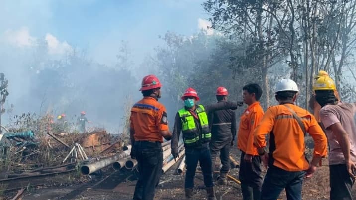 BNPB Sebut Tim Gabungan Terus Kendalikan Karhutla di Kalimantan Selatan dan Kalimantan Timur