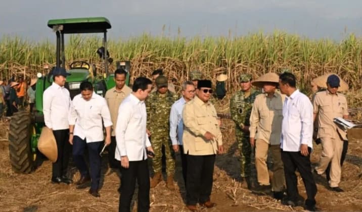 Pengamat Nilai Keterlibatan TNI dalam Ketahanan Pangan Perkuat Stabilitas Nasional