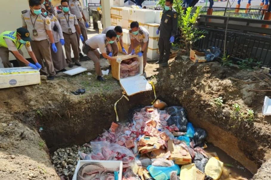 Balai Karantina NTB Musnahkan Lebih dari Tiga Ton Produk Hewan dan Ikan Tanpa Dokumen Karantina