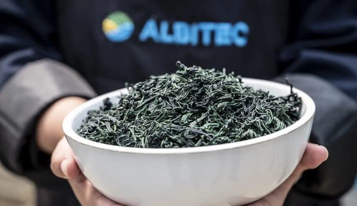 BRIN Mendorong Pemanfaatan Spirulina sebagai Solusi Pakan Budidaya Ikan Berkelanjutan