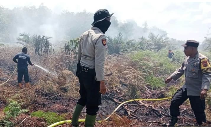 BPBD Aceh Barat Terus Padamkan Karhutla yang Meluas hingga 12,5 Hektare di Empat Kecamatan