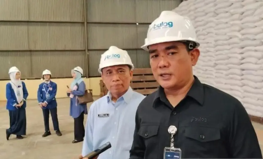 Bulog Sumut Salurkan 604 Ton Jagung SPHP untuk Peternak Ayam Petelur demi Stabilkan Harga Telur