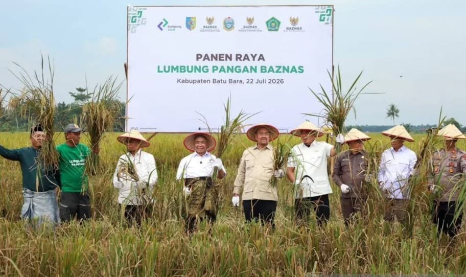 Baznas Catat Panen Raya 150 Ton Padi di Batu Bara, Program Lumbung Pangan Perkuat Ketahanan Pangan