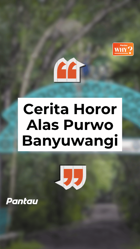 CERITA HORROR ALAS PURWO