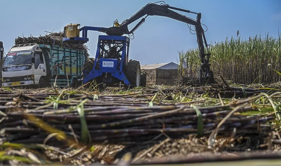 Pertamina Siapkan Infrastruktur Bioetanol untuk Dukung Target Pemerintah Menuju E20