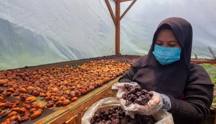 Kemenhut Siapkan Revisi Aturan Pengolahan Hasil Hutan untuk Percepat Hilirisasi