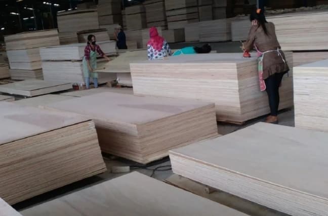 BRIN Nilai Inovasi Teknologi Menjadi Kunci Pengembangan Produk Hasil Hutan Bernilai Tambah