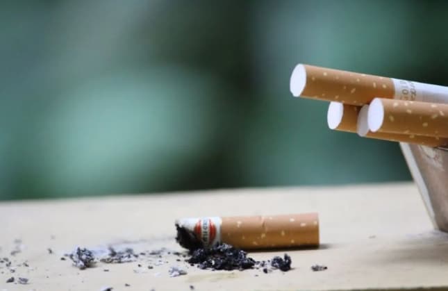 APTI Minta Perlindungan Presiden Terkait Rencana Pembatasan Kadar Nikotin dan Tar