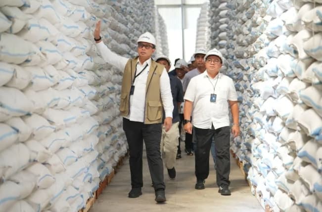 Bulog Menyerap 3,5 Juta Ton Setara Beras Petani untuk Perkuat Cadangan Pangan Nasional