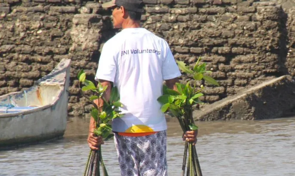 BNI Perkuat Pelestarian Mangrove dan Ekonomi Pesisir pada Peringatan Hari Mangrove Sedunia