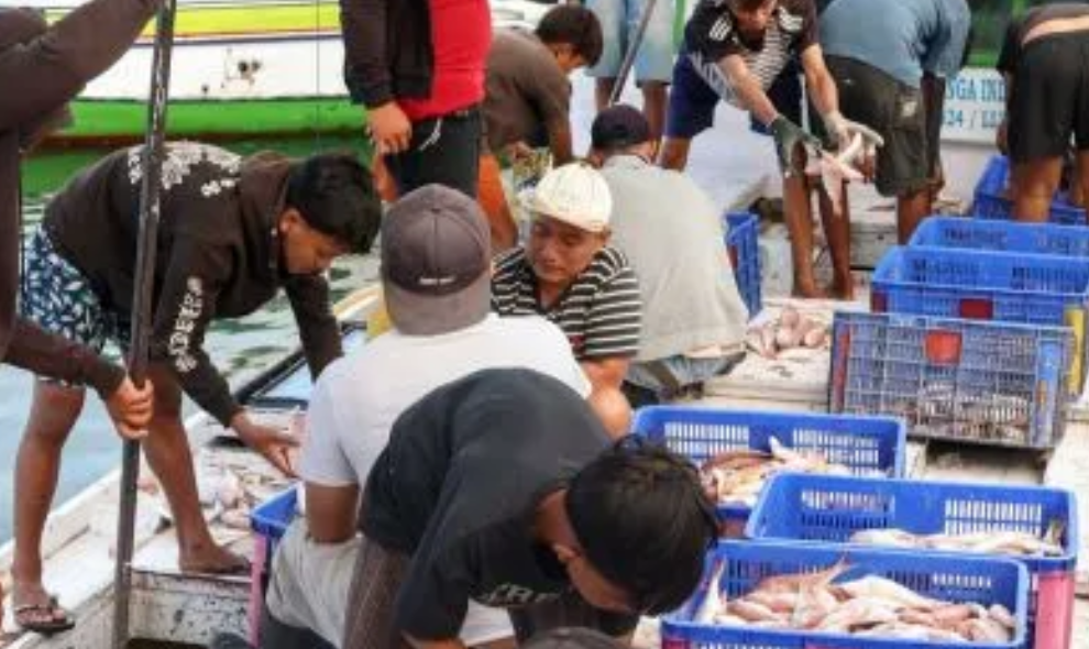 KKP Terapkan Konvensi ILO 188 Melalui Aturan Baru untuk Perkuat Perlindungan Awak Kapal Perikanan