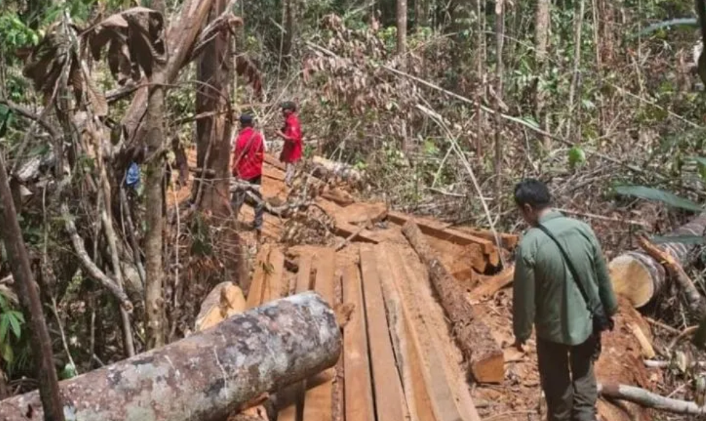 Kemenhut Perkuat Pengamanan Kawasan Hutan Eks PBPH di Empat Provinsi