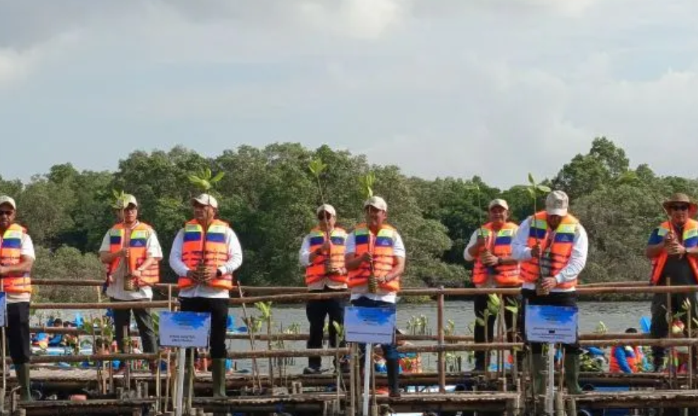 Gubernur Wayan Koster Perluas Gerakan Tanam Mangrove dengan Libatkan Pelajar dan Dunia Usaha