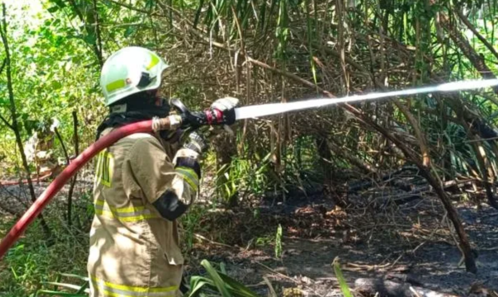 Puntung Rokok Diduga Picu Kebakaran Lahan Seluas 300 Meter Persegi di Pulau Tidung