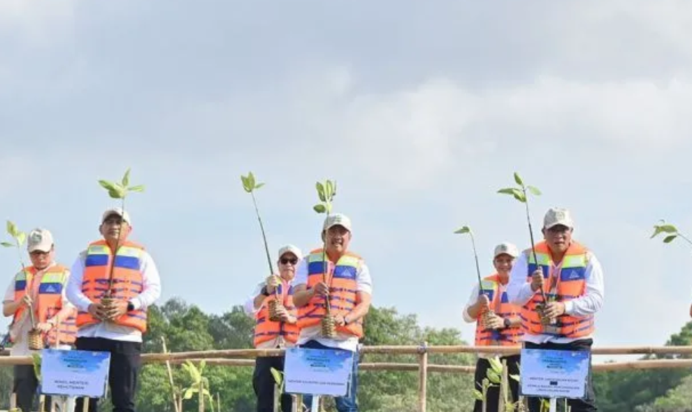 Menteri KKP Tegaskan Rehabilitasi Mangrove Harus Dukung Ketahanan Pangan dan Ekonomi Pesisir