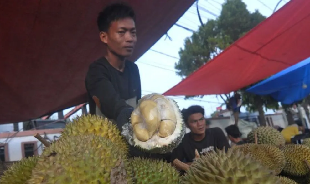 Bupati Kaur Sebut Infrastruktur Jadi Kunci Pengembangan Sentra Durian dan Sawit di Padang Guci Hulu