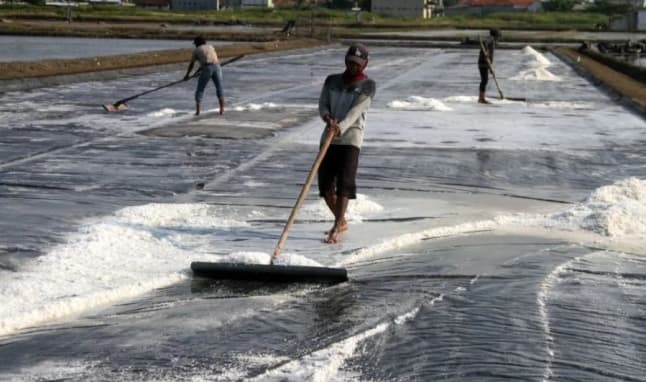 Hilirisasi Pemurnian Garam Dinilai Menjadi Kunci Penguatan Industri Garam Nasional