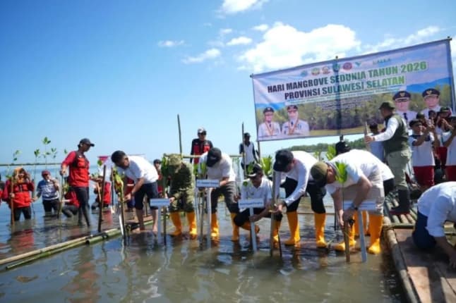 Pemprov Sulawesi Selatan Perkuat Kolaborasi untuk Lestarikan Ekosistem Mangrove di Wilayah Pesisir