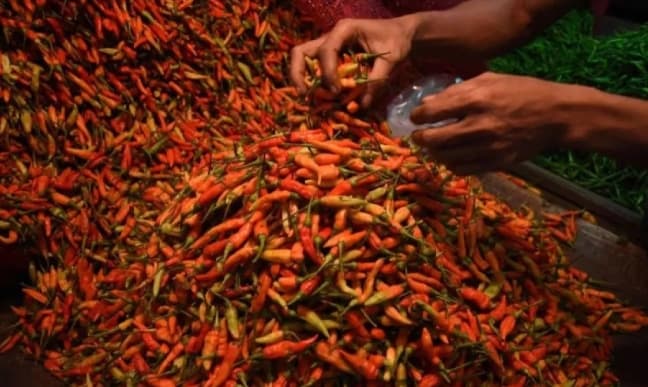 Harga Cabai Rawit Menembus Rp63.150 per Kilogram, Telur Ayam Ras Rp31.950 Menurut PIHPS