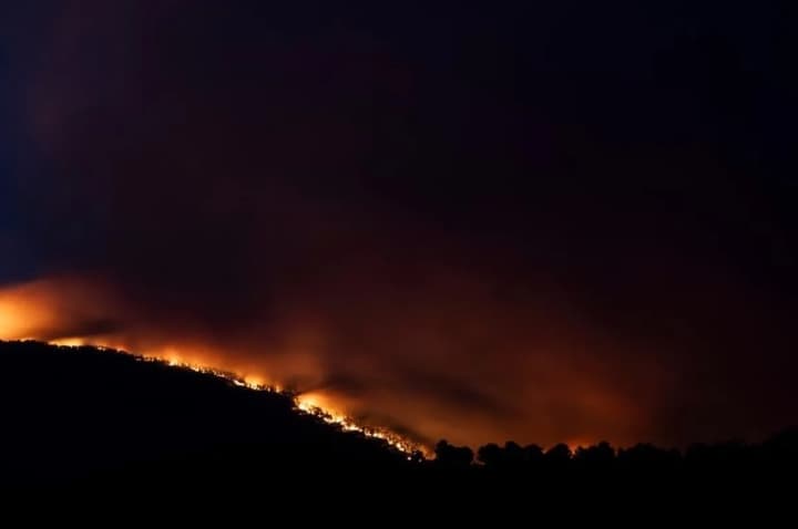 UNECE Sebut Lebih dari 434.000 Hektare Lahan di Eropa Hangus Terbakar Sepanjang 2026