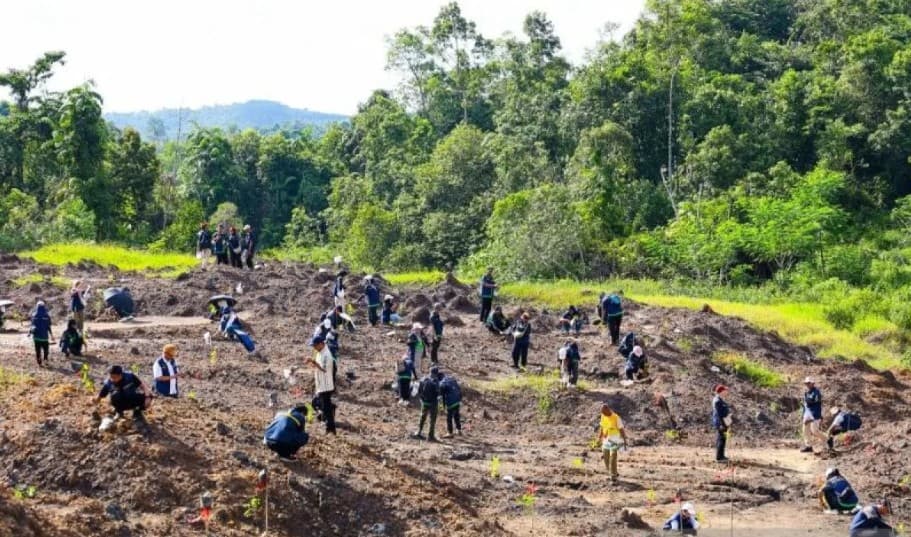 Otorita IKN Menanam Lima Juta Pohon dan Terapkan Rewilding untuk Memulihkan Ekosistem Kawasan