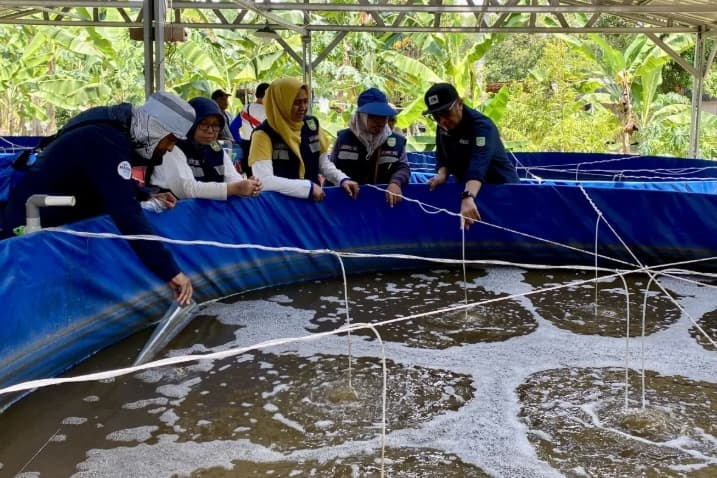 Nelayan di Pulau Karas Beralih ke Budi Daya Ikan Air Tawar demi Pendapatan yang Lebih Stabil