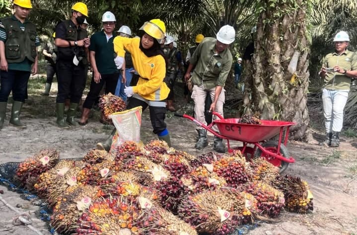 Astra Agro Gunakan Pupuk Hayati di Kebun Sawit untuk Kurangi Emisi Karbon dan Jaga Produktivitas