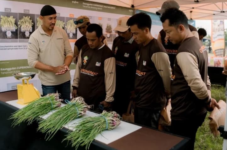 Syngenta Indonesia Perkuat Inovasi Pertanian Berkelanjutan Lewat Teknologi Biostimulan untuk Budi Daya Padi